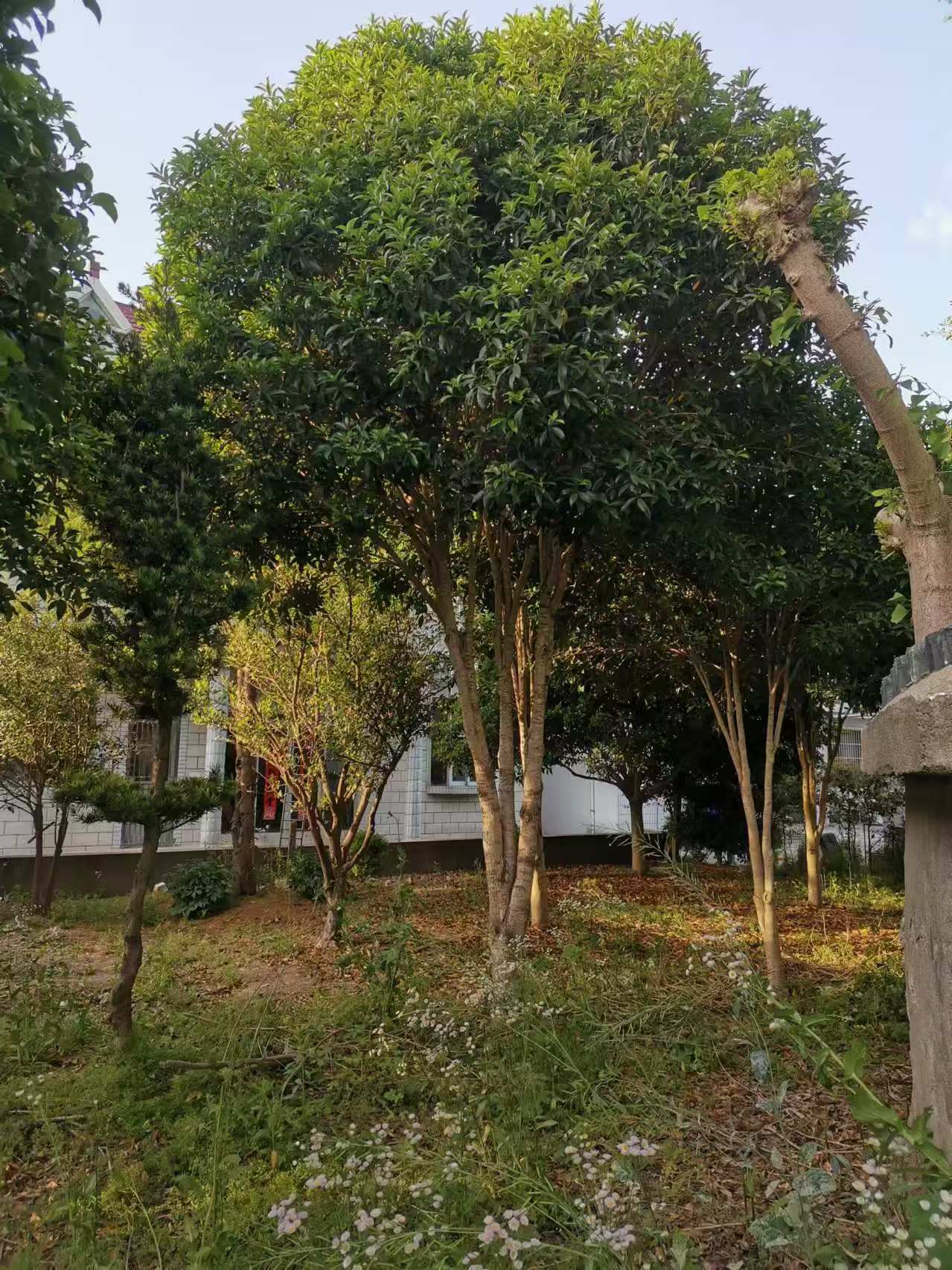 微信图片_20250507080901.jpg