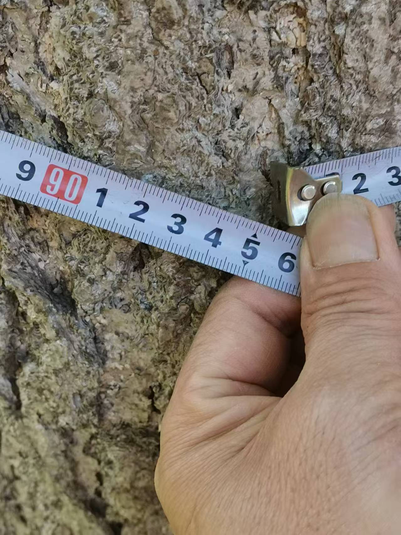微信图片_20250507080939.jpg